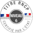 rncp 6 esiea