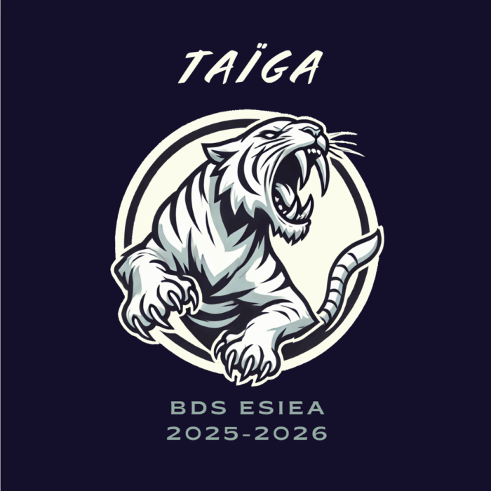 Logo BDS Taïga