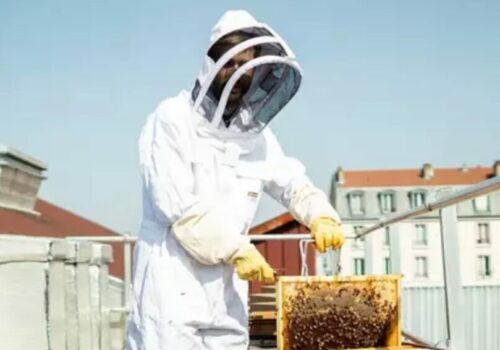 L’intelligence artificielle peut se révéler profondément humaine