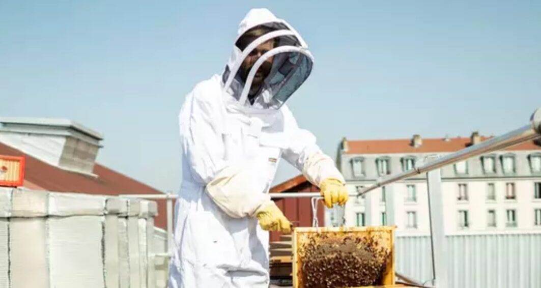 L’intelligence artificielle peut se révéler profondément humaine