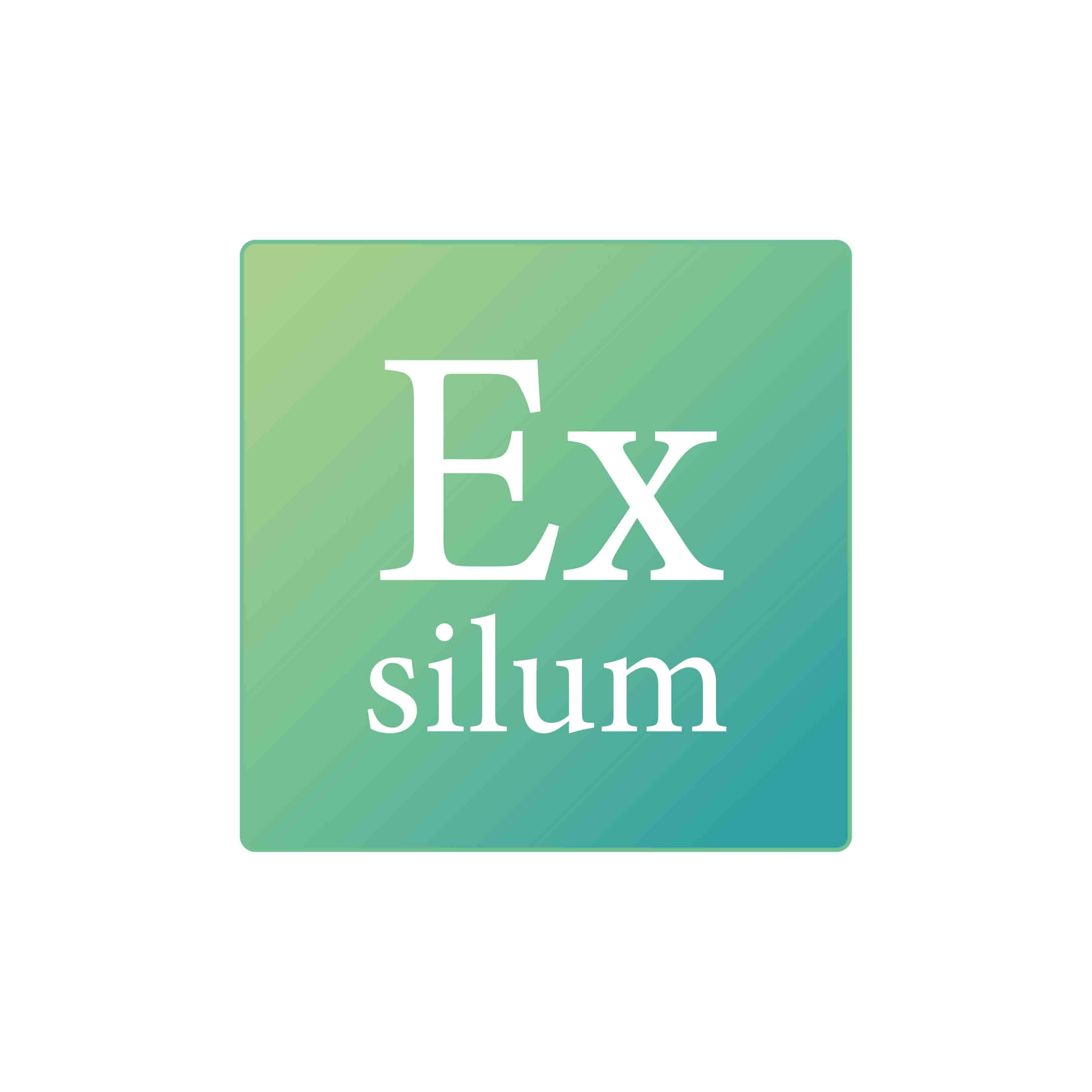 Exsilum