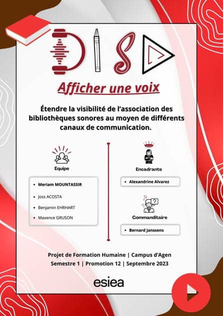 Affiche du projet de formation humaine Dis Play