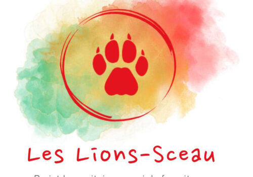 Le projet humanitaire Lions-Sceau, envoyer des fournitures scolaires au Sénégal