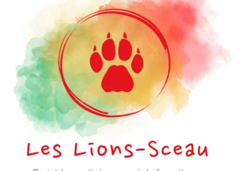 Le projet humanitaire Lions-Sceau, envoyer des fournitures scolaires au Sénégal