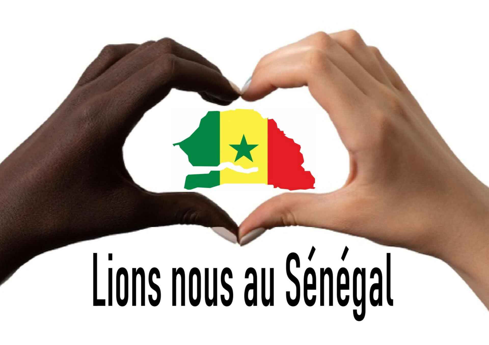 Logo de Lions nous au Sénégal, partenaire des Lions sceau de l'ESIEA Dax