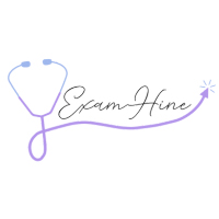 Logo du projet informatique Exam Hine